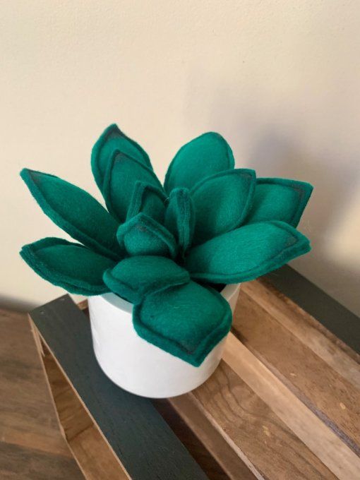 Pot de succulente 