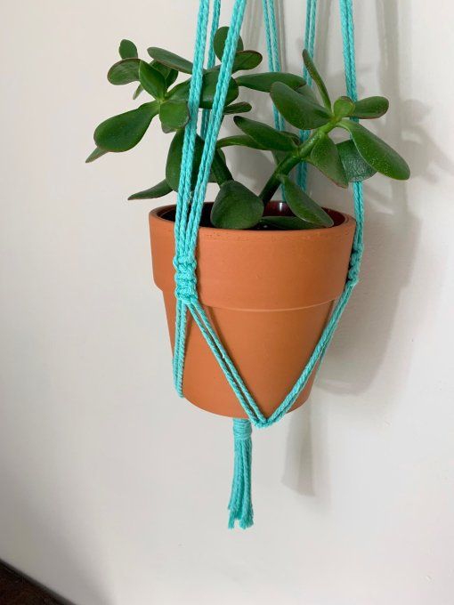Porte-plante vert menthe
