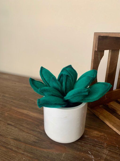 Pot de succulente 