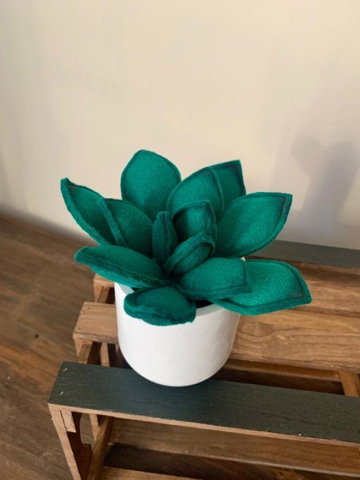 Pot de succulente 